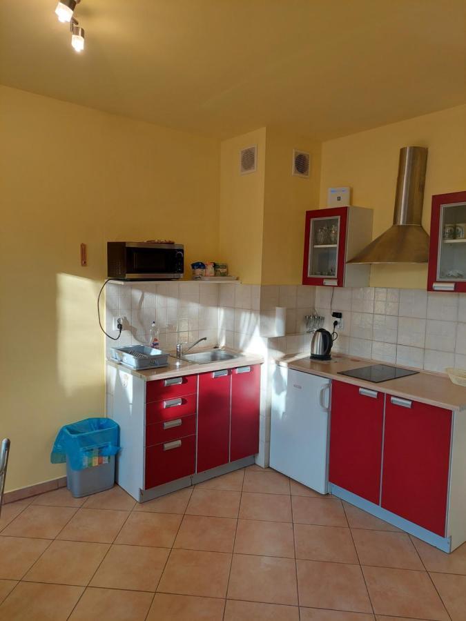Apartament Z Ogrodkiem コウォブジェク エクステリア 写真